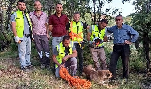 Siirt'te kuyuya düşen çoban köpeği, ERKUT ekipleri tarafından kurtarıldı