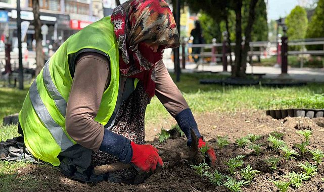 Sincan çiçeklerle donatıldı