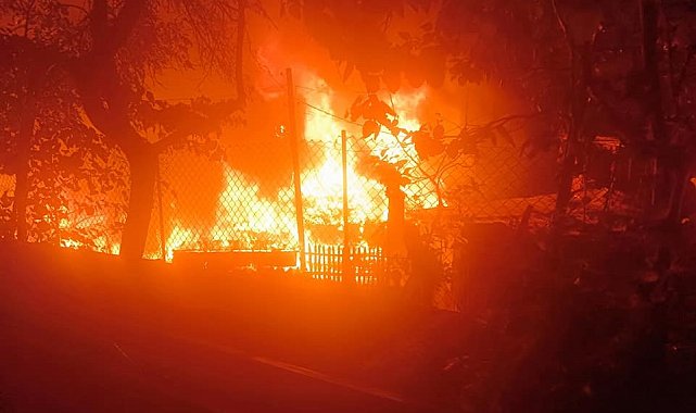 Sinop'ta 2 ev, 2 ahır, 1 ambar ve 1 mobilya atölyesi yanarak kül oldu