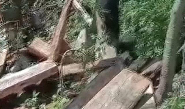 Sinop'ta filmleri aratmayacak hırsızlık olayı: Tahıl ambarı çalındı