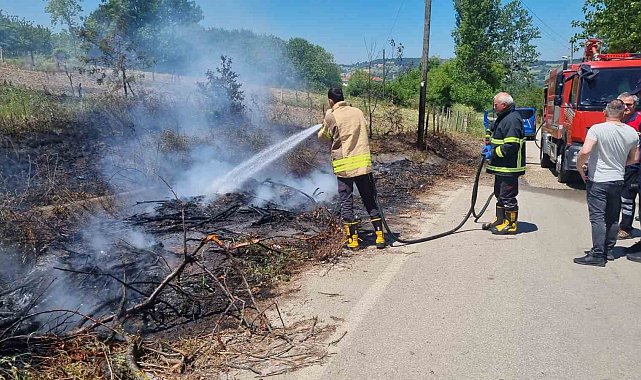 Sinop'ta kuru dallar yandı, elektrik direği zarar gördü