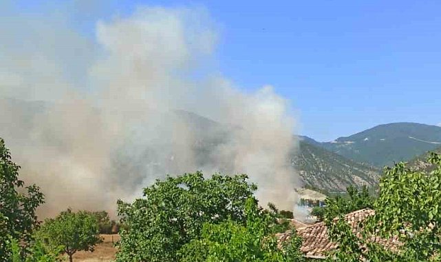 Sinop'ta tarım arazisinde yangın