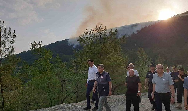 Sinop'taki orman yangını kontrol altına alındı