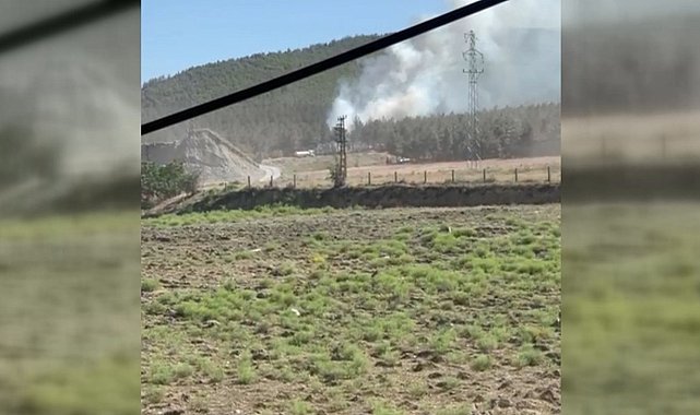 Sinop'taki orman yangını korkuttu