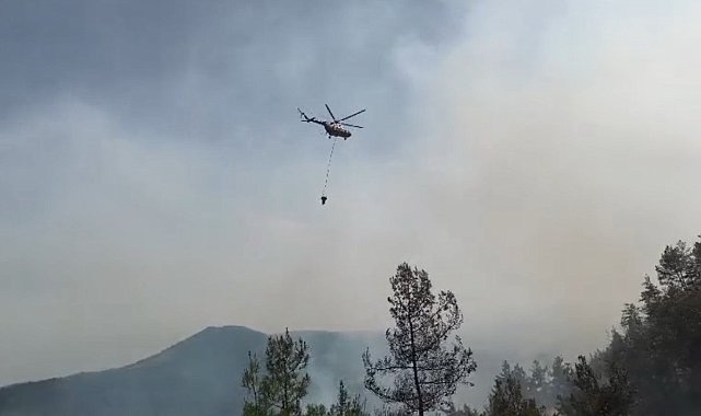 Sinop'taki orman yangını