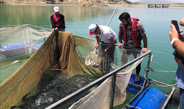 Şırnak Üniversitesi proje kapsamında 25,5 ton balık üretimi yaptı