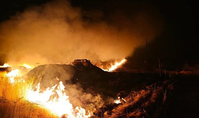 Şırnak'ın Suriye sınırında anız yangını: 7 köy etkilendi