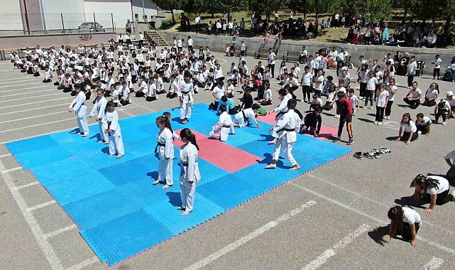 Sivas'ta 450 kişilik karate gösterisi dikkat çekti