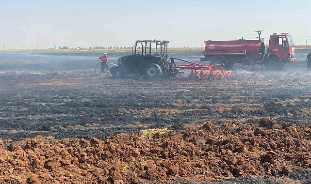 Siverek'te 300 dönümlük buğday tarlası ve bir traktör kül oldu