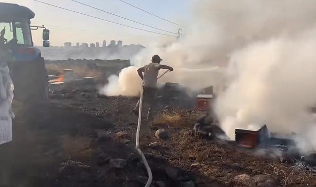 Siverek'te çıkan yangında yüzlerce arı kovanı kül oldu