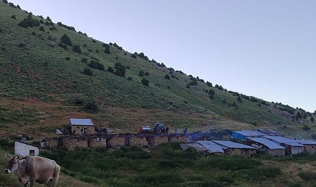 Soba yayla evlerini kül etti