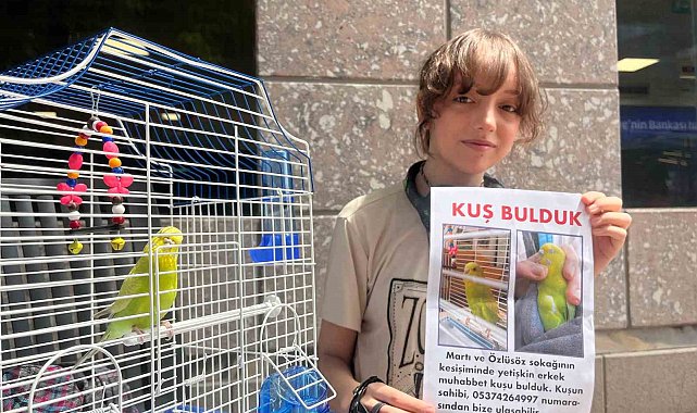 Sokakta bulduğu kuşun sahibini harçlıklarıyla bastırdığı ilanları asarak arıyor