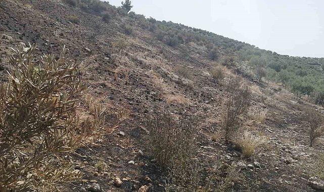 Söke&#039;de yangından etkilenen yerler afet bölgesi ilan edildi