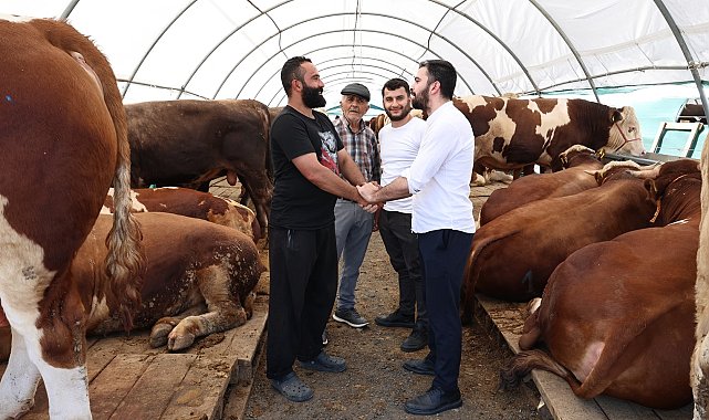 Sultangazi Kurban Satış Alanı'nda bayram yoğunluğu