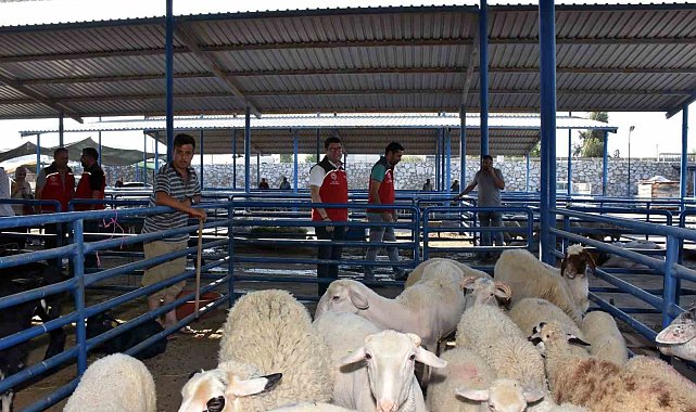 Tarım İl Müdürlüğü ekipleri Kurban Bayramında sahada olacak