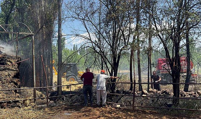 Tarlada başlayan yangın ahır ve saman balyalarına sıçradı, bine yakın saman balyası yandı