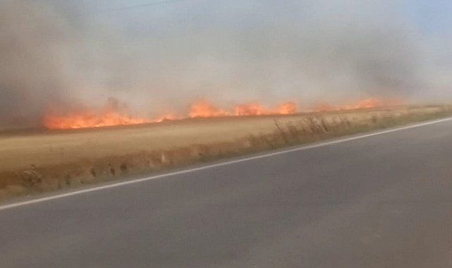 Tekirdağ'da 180 dönüm buğday cayır cayır yandı: 3 yaralı