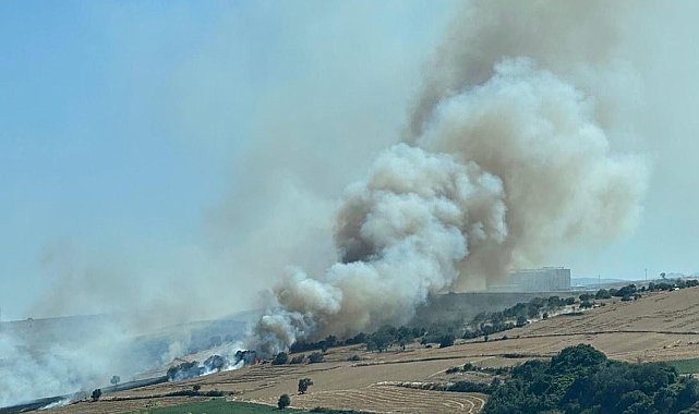 Tekirdağ'da alev alev yanan buğday tarlası küle döndü