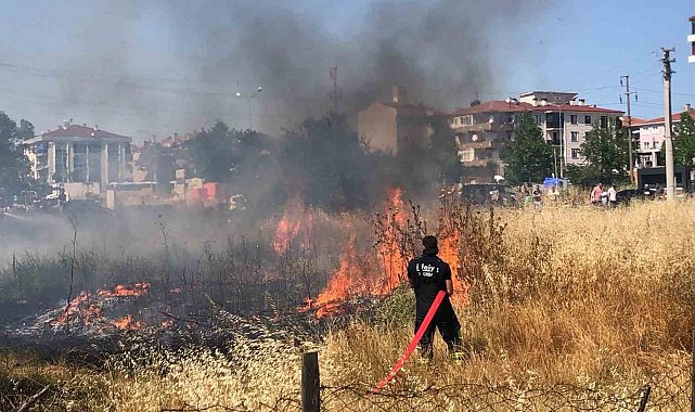 Tekirdağ'da mahalle arasındaki arazi yangını korkuttu: 50 güvercin son anda kurtarıldı