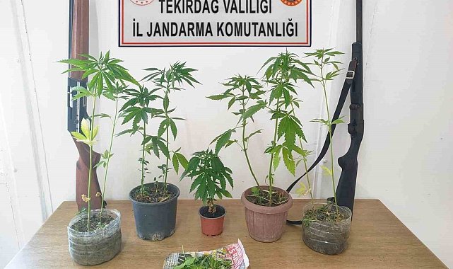 Tekirdağ'da uyuşturucu ve silah operasyonunda 10 gözaltı