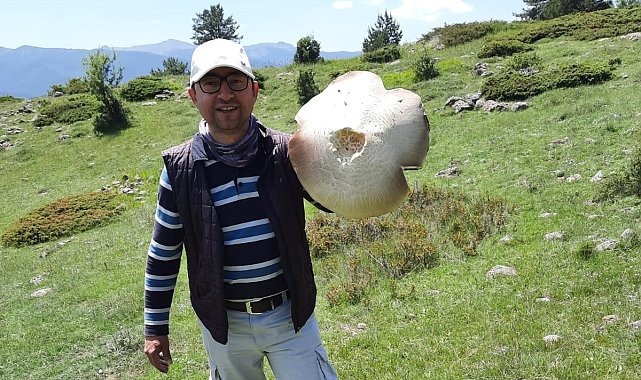 Tepsi büyüklüğündeki içi kızıl mantar görenleri şaşırttı