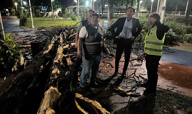 Tokat'ta fırtına ağaçları devirdi, çatıları uçurdu