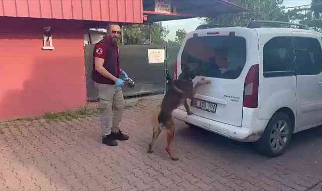 Torbacılar yakalanınca "Kraliçe arı" taşıdıklarını söyledi