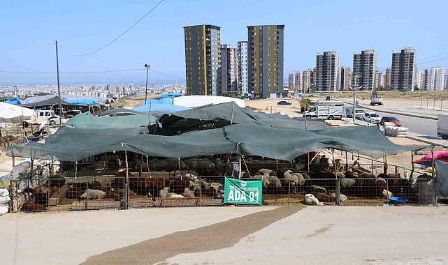 Toroslar Kurban Bayramı&#039;na hazır