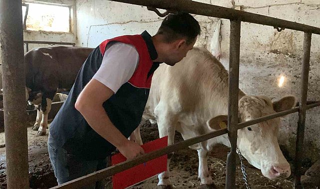 Trakya'da kurban kesim ve satış alanlarında denetleniyor