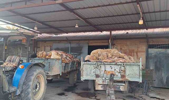 Tüccarın almadığı deriler elde kaldı