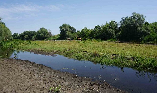 Tunca Nehri&#039;nde kuraklık alarmı: Bölge üreticisi endişeli
