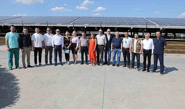 Türkiye'de yılda 21 milyon ton süt üretiliyor