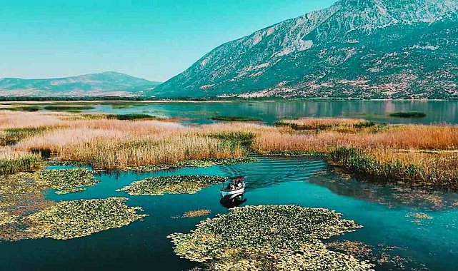Türkiye'nin en büyük nilüfer tarlasında renklerin buluşması mest etti