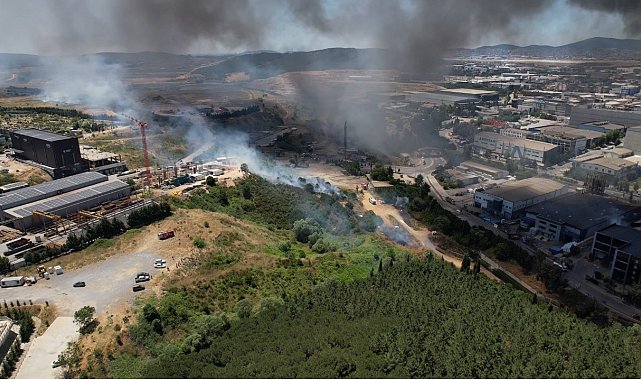 Tuzla'daki fabrika yangını ağaçlık alana sıçradı