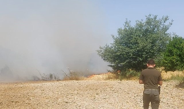 Ula'da ziraat arazisinde yangın