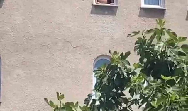 Ümraniye'de yoldan geçenlere küfür eden yarı çıplak şahıs kamerada
