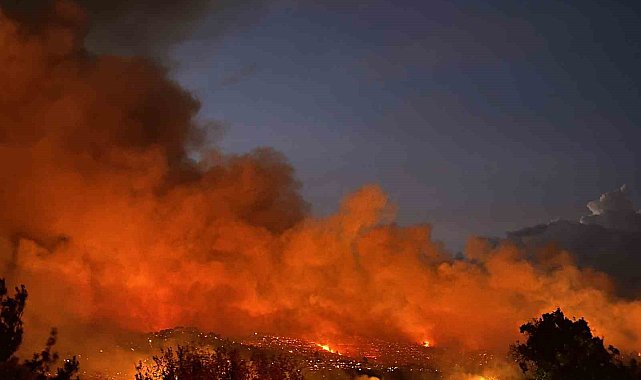 Uşak'ta ormanlık alana sıçrayan yangına müdahale sürüyor