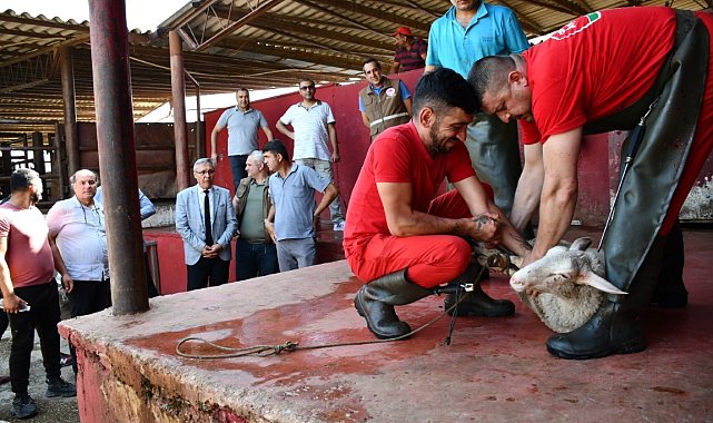 Uygulamalı kurban kesim kursu