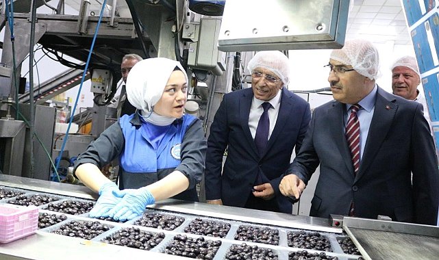 Vali Demirtaş: "Marmarabirlik zeytin üreticisinin can simidi"