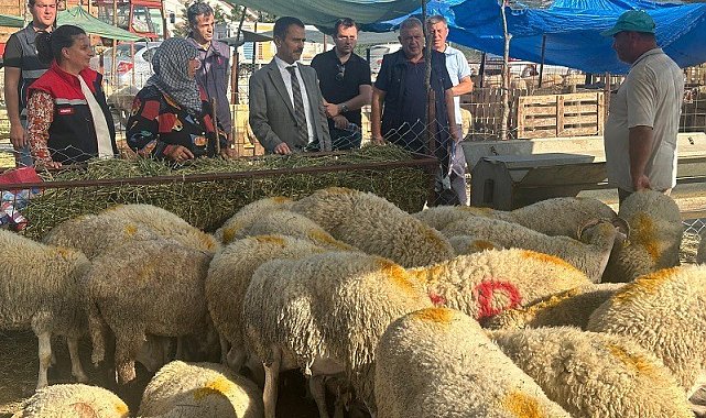 Vali İlhami Aktaş, Canlı Hayvan Pazarı ve Cuma Pazarında incelemelerde bulundu