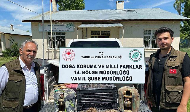 Van'da keklik avlayan 1 kişiye 18 bin 721 lira para cezası uygulanacak