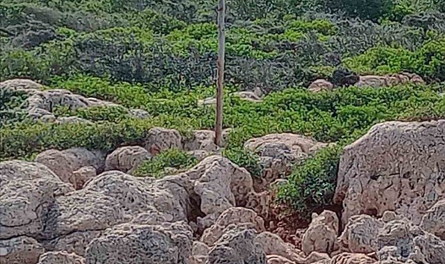 Vatandaşların 'Mavi Yolculuğun' kalbindeki adada bulunan 'Bayrak' hassasiyeti