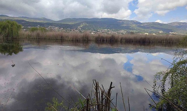 Verimli araziler balık havuzu oldu