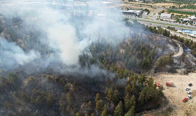 Yaklaşık 30 hektar alanın zarar gördüğü 2 ayrı yangınla ilgili olarak 3 şüpheli gözaltına alındı