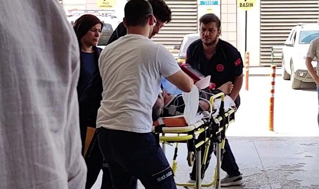 Yetiştirdiği arıların kurbanı oldu