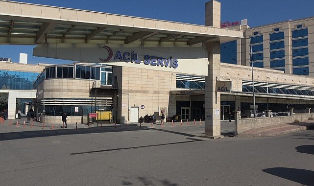 Yılanın soktuğu kişi hastaneye kaldırıldı