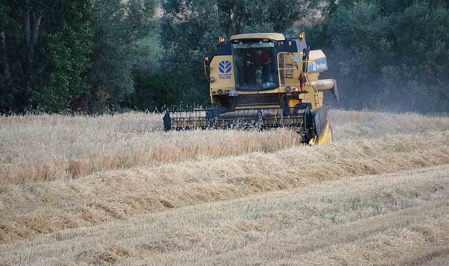Yozgat'ta kuraklık nedeniyle arpa hasadı erken başladı
