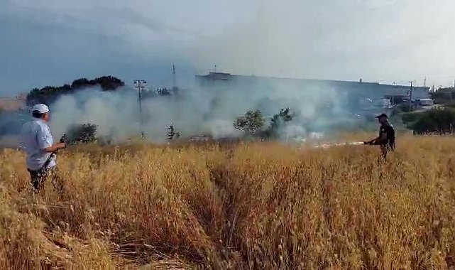 Yulaf tarlasında yangın