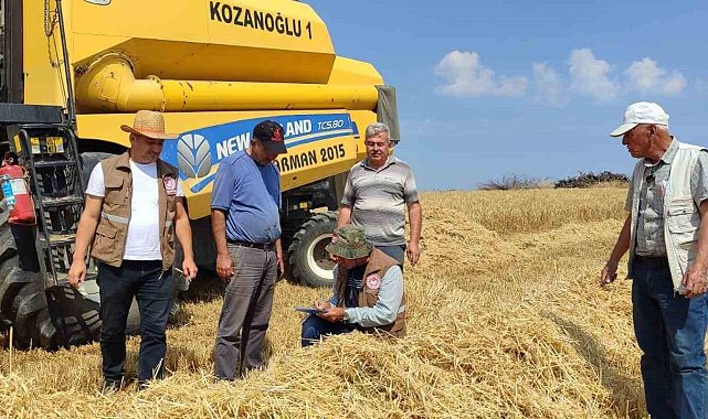 Yüzde 75 hibe destekli arpa hasadı başladı