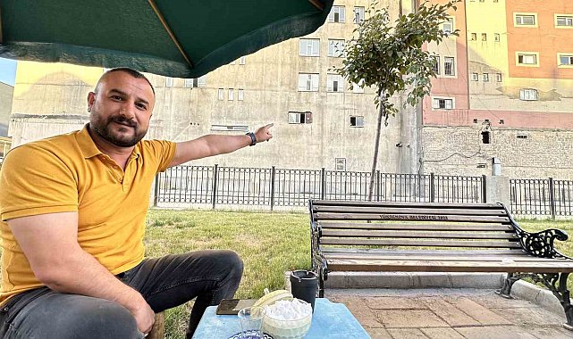 Yüzlerce bal arısı şehir merkezindeki parkı mesken tuttu